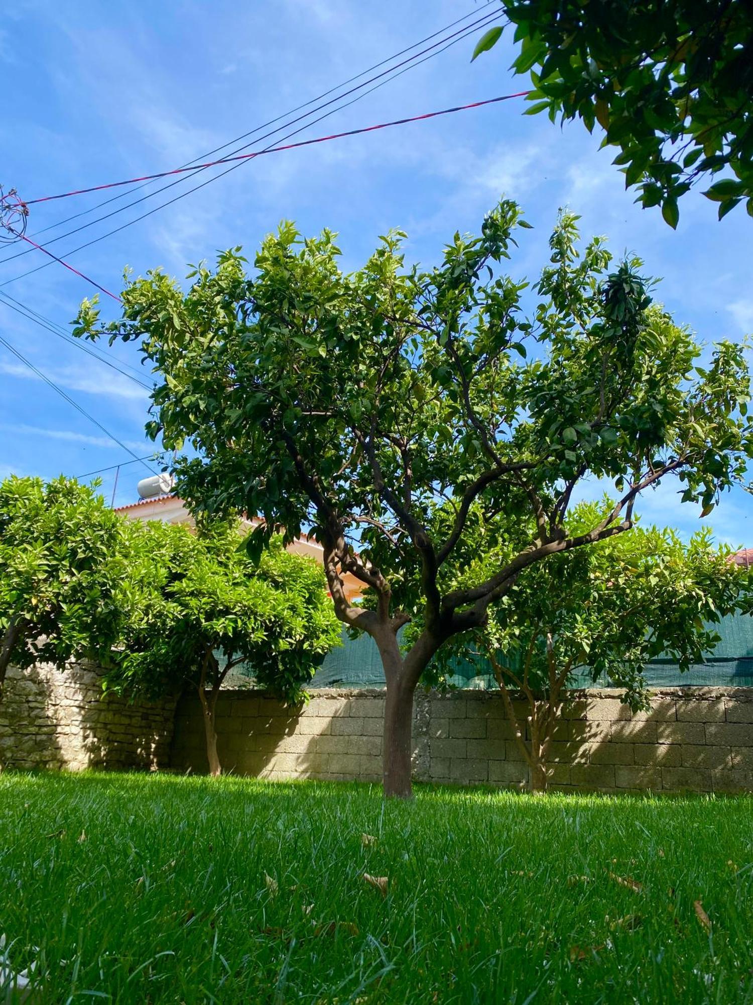 Villa Berat Eksteriør bilde