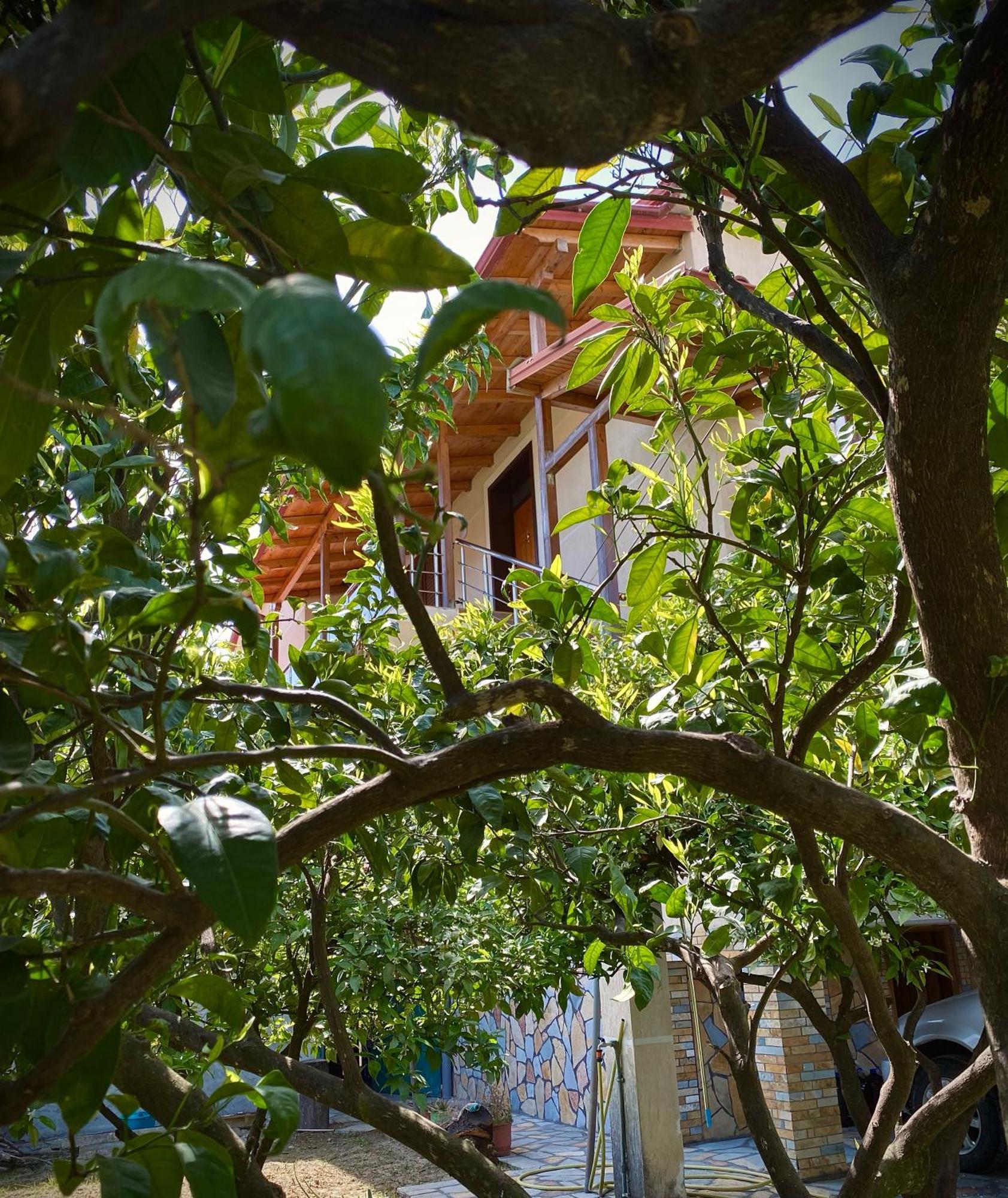 Villa Berat Eksteriør bilde